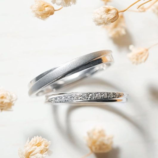 Meteoroid / ﾒﾃｵﾛｲﾄﾞ